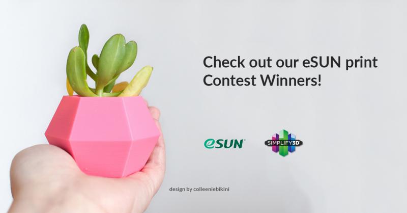 Объявлены победители конкурса eSun на лучшую печать